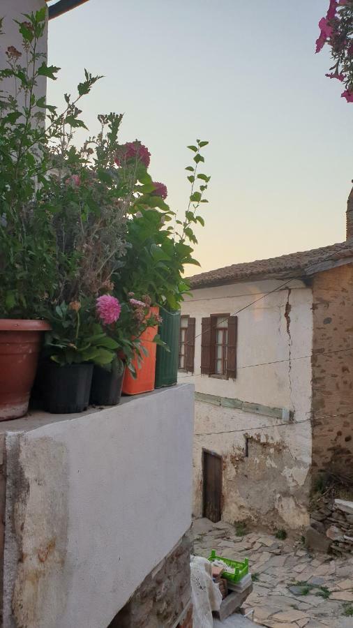 Sirin Ev Pansiyon Selçuk Dış mekan fotoğraf